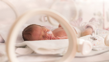 PracticeAreas_shutterstock_396467254.jpg